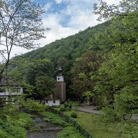 Comfort Trepeszkovci